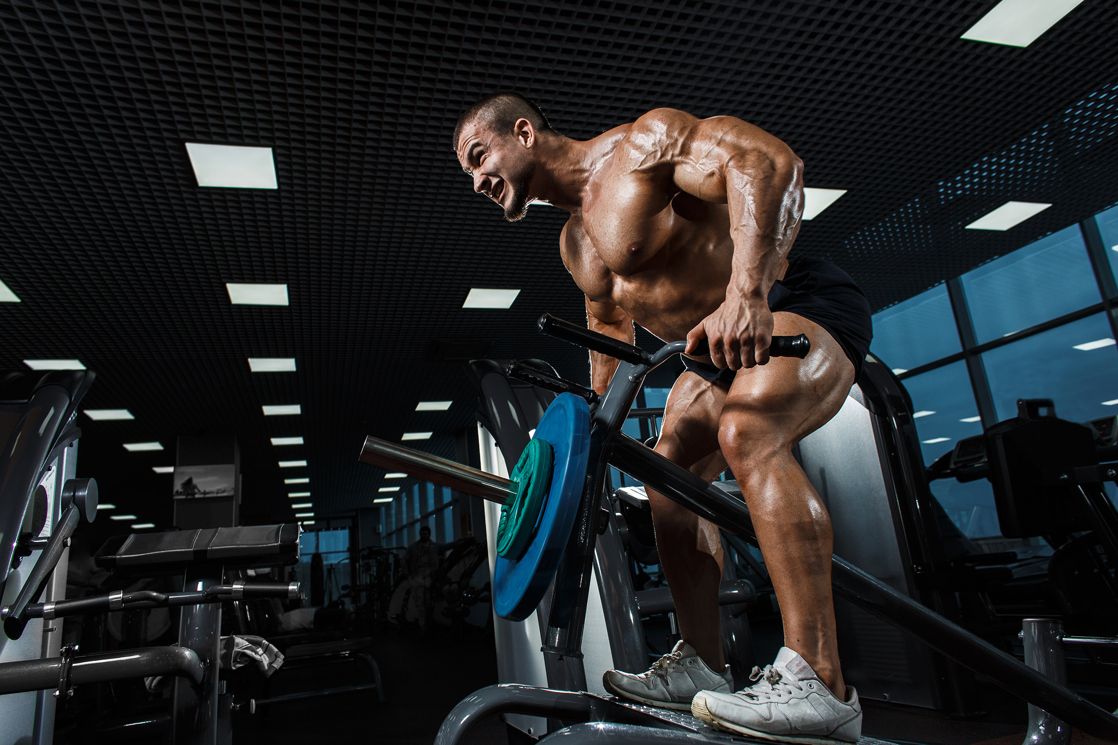 Testosterone and Trenbolone for Maximum Gains