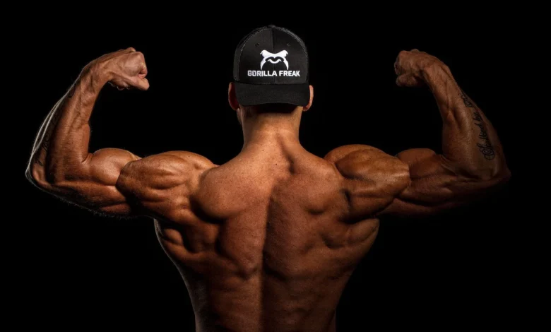 Guide to Building Muscle Mass